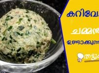 കറിവേപ്പില ചമ്മന്തി ഉണ്ടാക്കുന്ന വിധം