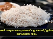 ബാക്കി വരുന്ന ചോറ് കൊണ്ട് നല്ല സോഫ്റ്റ് ഇടിയപ്പം ഉണ്ടാക്കാം