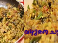 നോർത്ത് ഇന്ത്യൻ സ്റ്റെൽ വഴുതന ചട്ട്നി വീഡിയോ കാണുക
