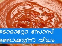 മായമില്ലാത്ത ടൊമാറ്റോ സോസ് എങ്ങനെ ഉണ്ടാക്കാം Homemade Tomato Sauce