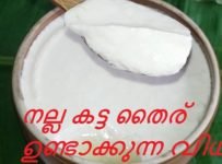 നല്ല കട്ടതൈര് വീട്ടില് തന്നെ എളുപ്പത്തില് ഉണ്ടാക്കാം