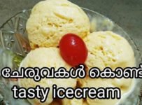 വെറും 3 ചേരുവകൾ കൊണ്ട് Ice Cream തയ്യാറാക്കാം.