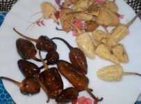 തൈര് മുളക് കൊണ്ടാട്ടം തയ്യാറാക്കാം