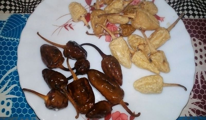 തൈര് മുളക് കൊണ്ടാട്ടം