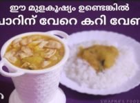 ഈ മുളകൂഷ്യം ഉണ്ടെങ്കിൽ ചോറിനു വേറെ കറി വേണ്ട