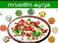 9 ഹെൽത്തി ആയിട്ടുള്ള ചേരുവകൾ ചേർത്ത് ഉണ്ടാക്കുന്ന നവരത്ന കുറുമ