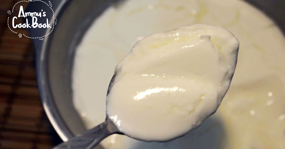 കട്ട തൈര്