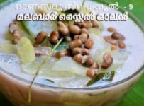 ഓണസദ്യ സ്പെഷ്യൽ -9 ഓലൻ