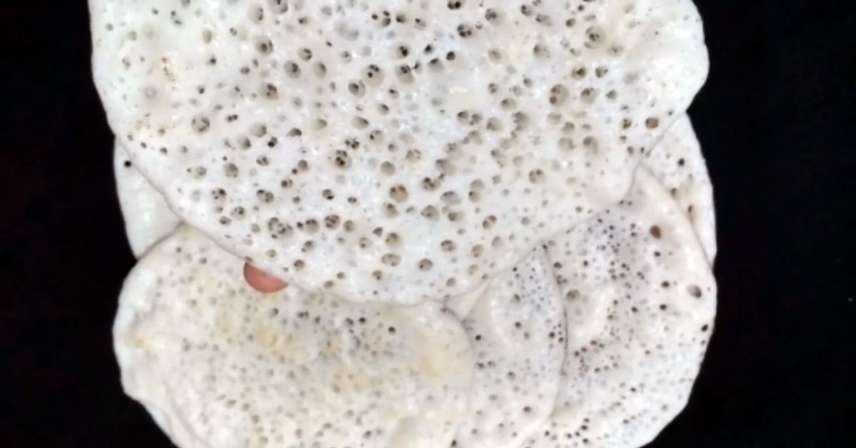 സോഫ്റ്റ് ദോശ