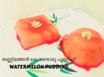 തണ്ണിമത്തൻ കൊണ്ട് പാലൊന്നും ചേർക്കാതെ പെട്ടെന്ന് തയ്യാറാകാൻ പറ്റിയ പുഡ്ഡിംഗ്