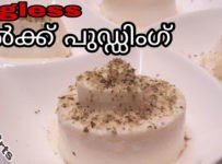 ഇതുപോലൊരു പുഡ്ഡിംഗ് കഴിച്ചിട്ടുണ്ടോ