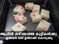 ആപ്പിൾ കഴിക്കാത്ത കുട്ടികൾക്കു ഇങ്ങനെ ഒന്ന് ഉണ്ടാക്കി കൊടുക്കൂ