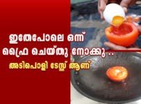 മുട്ട ഇതേപോലെ ഒന്ന് ഉണ്ടാക്കി നോക്കു. കിടു ആണേ