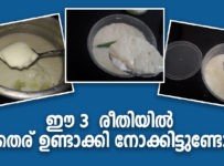 ഈ 3 രീതിയിൽ നിങ്ങൾ തൈര് ഉണ്ടാക്കി നോക്കിട്ടുണ്ടോ