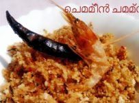 ഒരു നാടൻ ചമ്മന്തി