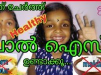 പാൽ ഐസ് ആർക്കും എളുപ്പത്തിൽ ഉണ്ടാക്കാം.
