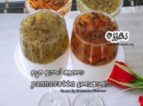 പാഷൻഫ്രൂട്ട് കിവി എന്നിവകൊണ്ടുള്ള ഒരു കിടിലൻ ഇറ്റാലിയൻ pannacotta-Recipe-2262