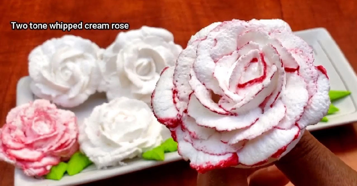Two tone whipped cream rose