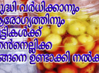 തേനൂറും തേൻ നെല്ലിക്ക ഇതുപോലെ ഉണ്ടാക്കിനോക്കൂ