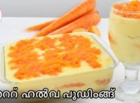 കാരറ്റ് ഹൽവ പുഡ്ഡിംഗ് ഉണ്ടാക്കി നോക്കൂ