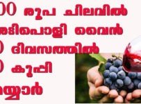 500 രൂപ ചെലവിൽ 10 കുപ്പി വൈൻ 10 ദിവസത്തിൽ