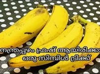 നേന്ത്രപ്പഴം പെട്ടന്ന് ചീത്ത ആകുന്നോ?