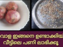 അടുക്കള പണി എളുപ്പമാക്കാൻ സവാള ഒന്ന് ഇങ്ങനെ ചെയ്തു നോക്കു