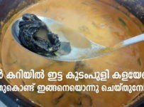 മീൻ കറിയിലെ കുടംപുളി കളയല്ലേ… ഇങ്ങനെ ഒരു സ്പെഷ്യൽ ഉണ്ടാക്കി നോക്കു