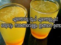 നാരങ്ങാ വെള്ളം ഒരു പ്രാവശ്യം ഇങ്ങനെ ഉണ്ടാക്കൂ