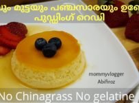 3 ചേരുവകൾ കൊണ്ടൊരു സിമ്പിൾ പുഡ്ഡിംഗ്