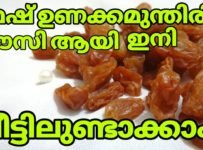 വീട്ടിൽ ഉണക്കമുന്തിരി ഉണ്ടാക്കി നോക്കിട്ടുണ്ടോ