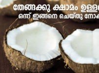 തേങ്ങക്കു ക്ഷാമം ഉള്ളവർ ഒന്ന് ഇങ്ങനെ ചെയ്തു നോക്കു