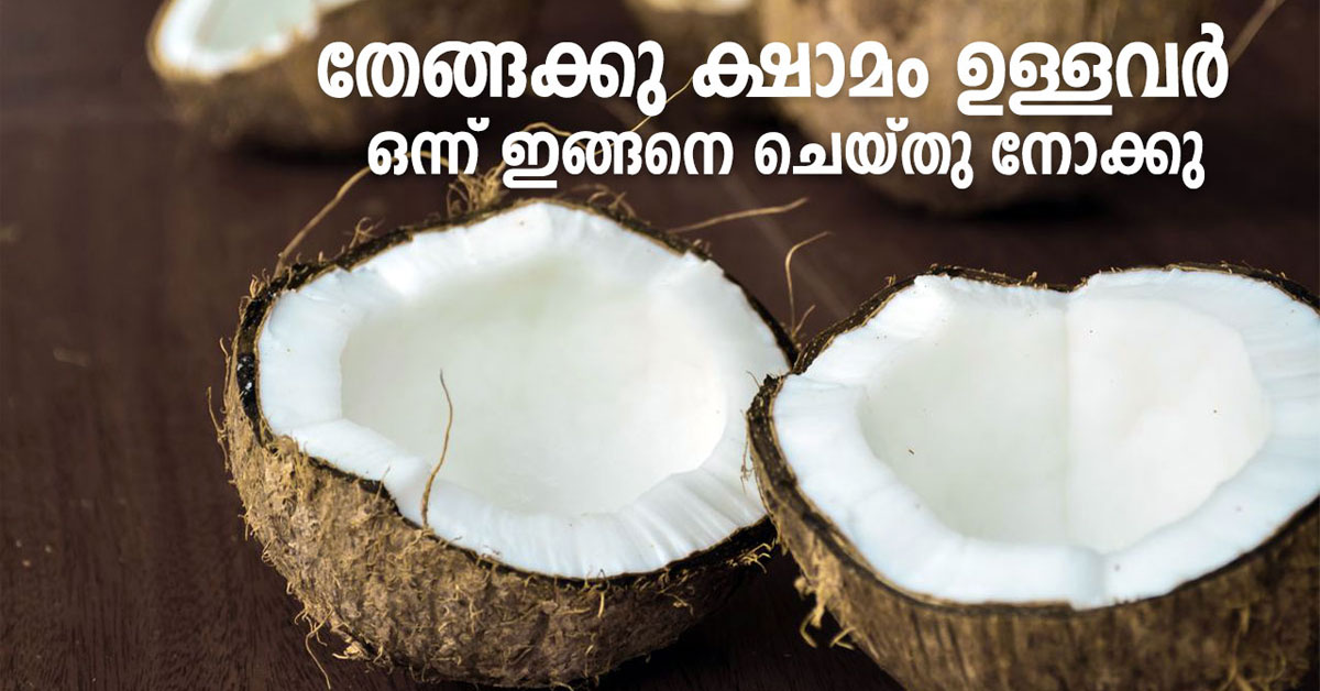 തേങ്ങ
