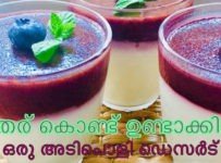 തൈര് കൊണ്ട് ഉണ്ടാക്കിയ ഒരു അടിപൊളി ഡെസർട്