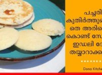 പച്ചരി കുതിർത്തു വെക്കാതെ അരിപൊടി കൊണ്ട് ദോശ ഇഡലി ഉണ്ടാക്കുന്ന വിധം