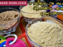 HORLICKS ഇനി ആർക്കും എളുപ്പത്തിൽ, ഒത്തിരി ചിലവില്ലാതെ ഉണ്ടാക്കാം