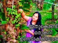 10 മിനിറ്റിൽ നാടൻ കൂട്ടാൻ റെഡി