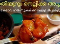 കൊതിയൂറും നെല്ലിക്ക അച്ചാറും കേടാവാതെ സൂക്ഷിക്കാനുള്ള ടിപ്പുകളും
