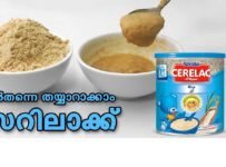 ആരോഗ്യകരമായ സെറിലാക്ക് വീട്ടിൽ തന്നെ തയാറാക്കാം