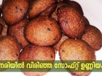 റേഷൻ അരിയിൽ മൊട്ടിട്ട ഉണ്ണിയപ്പം