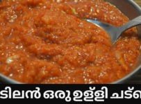 ഉള്ളി ചമ്മന്തി ഏറ്റവും എളുപ്പത്തിൽ, ഏറ്റവും ടേസ്റ്റിൽ ഉണ്ടാക്കാൻ ഇത് പോലെ ചെയ്തു നോക്കൂ