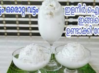 നാച്വറൽ ഇളനീർ ഐസ്ക്രീം വളരെ പെട്ടെന്ന് ഉണ്ടാക്കാം