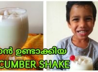 ഐസ്ക്രീം ഇല്ലാതെ കിടിലൻ കുക്കുമ്പർ ഷേക്ക്