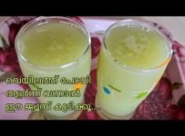 വേനൽ ചൂടിന് ശരീരത്തെ തണുപ്പിച്ച് സംബുഷ്ടമാക്കാനൊരു ഹെൽത്തി ഡ്രിംക്