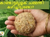 തൊട്ടുകൂട്ടാൻ ഇതുമാത്രം മതി വയറുനിറയെ ഉണ്ണാം കൊണ്ടാട്ടമുളക്‌ ചമ്മന്തി