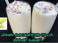 ചിരങ്ങ /ചുരക്ക (bottle guard ) കൊണ്ട് അടിപൊളി മിൽക്ക് ഷേക്ക് ഉണ്ടാക്കാം