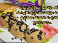 ബിസ്ക്കറ്റ് ഉണ്ടോ.. കുട്ടികൾക്ക് വേണ്ടി ഒരു easy ഐസ്ക്രീം ഉണ്ടാക്കിയാലോ