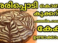 അരിപ്പൊടി കൊണ്ട് കുക്കറിൽ പഞ്ഞിപോലത്തെ കേക്ക് ഉണ്ടാക്കാം
