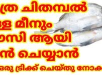 1 മിനിറ്റ് കൊണ്ട് എത്ര വലിയ ചിതമ്പലും ഈസി ആയി കളയാൻ ഇത് പോലെ ചെയ്യൂ