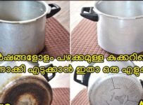 ഉപയോഗിക്കാതെ വച്ചിട്ടുള്ള പഴയ കുക്കറിനെ പോലും പുത്തൻ ആക്കാൻ ഇതിലും നല്ലൊരു മാർഗം വേറെയില്ല..